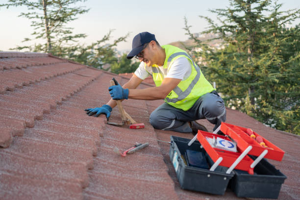 Best Roof Gutter Cleaning  in Galesville, MD